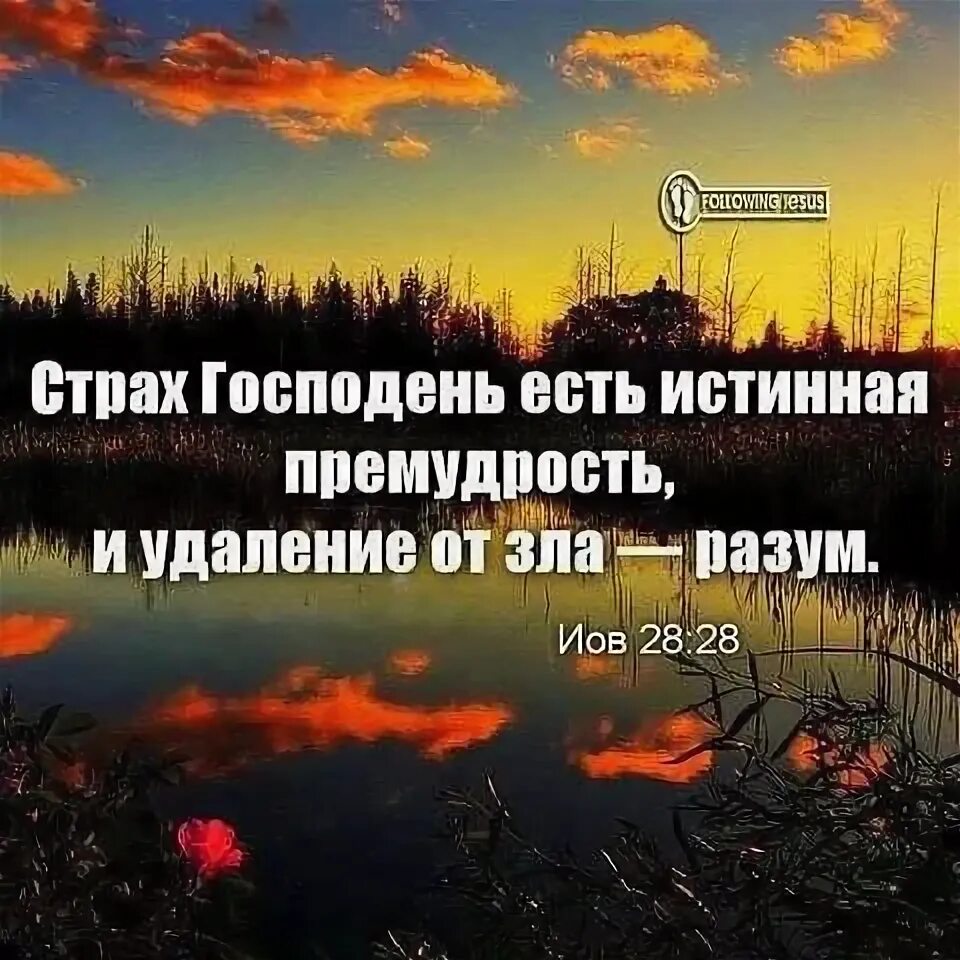 Начало премудрости страх господень. Начало мудрости страх господень библия. Страх господень места писания. Начало мудрости страх господень. Страх господень.