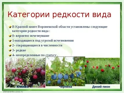 Категории редких видов