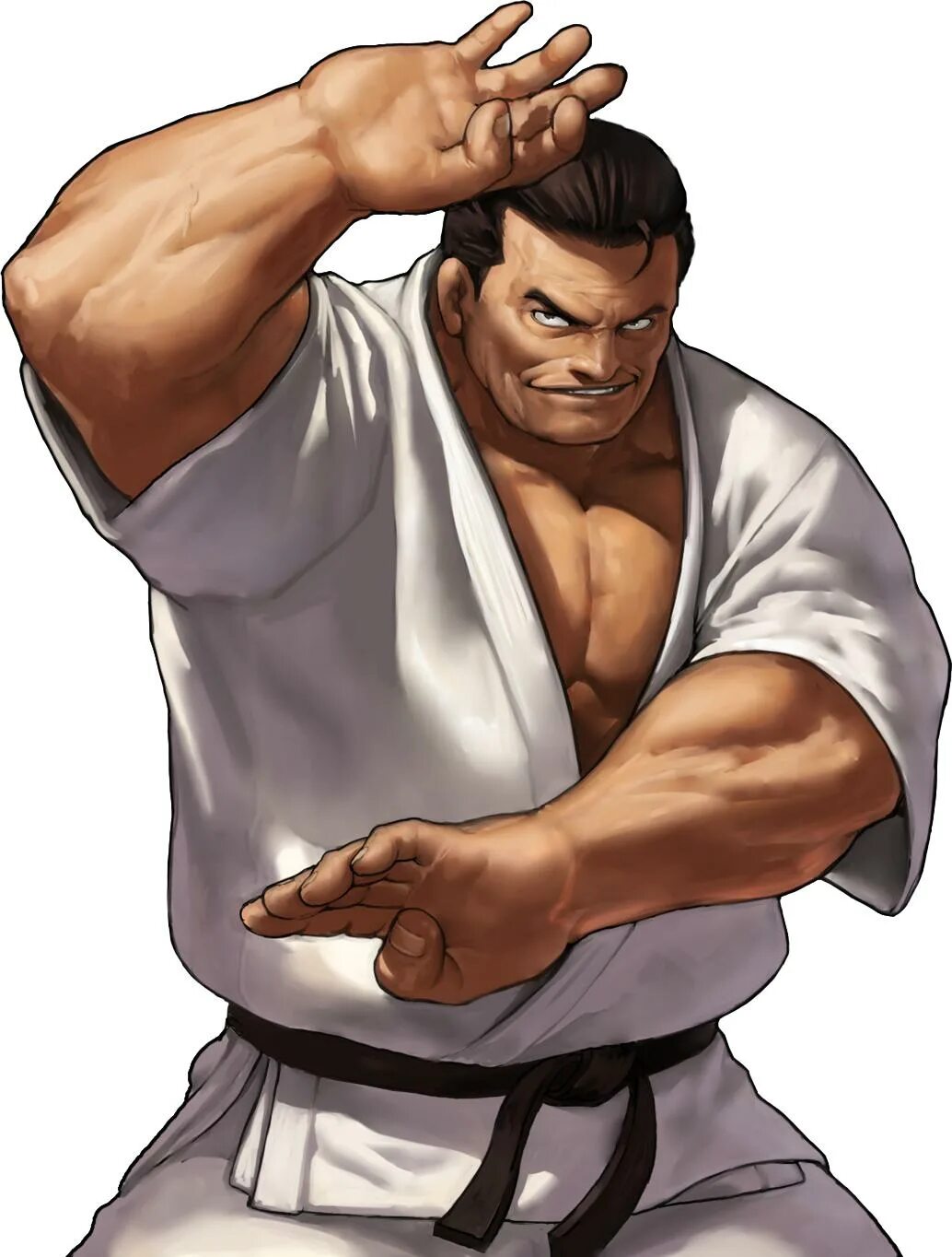 Аниме каратэ шотокан. Street fighter 6 ryu. Аниме каратэ шотокан. Манга боевые искусства шамо. Рю нарушима shamo.