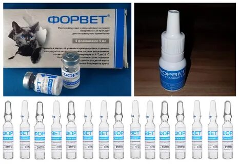 Форвет для собак