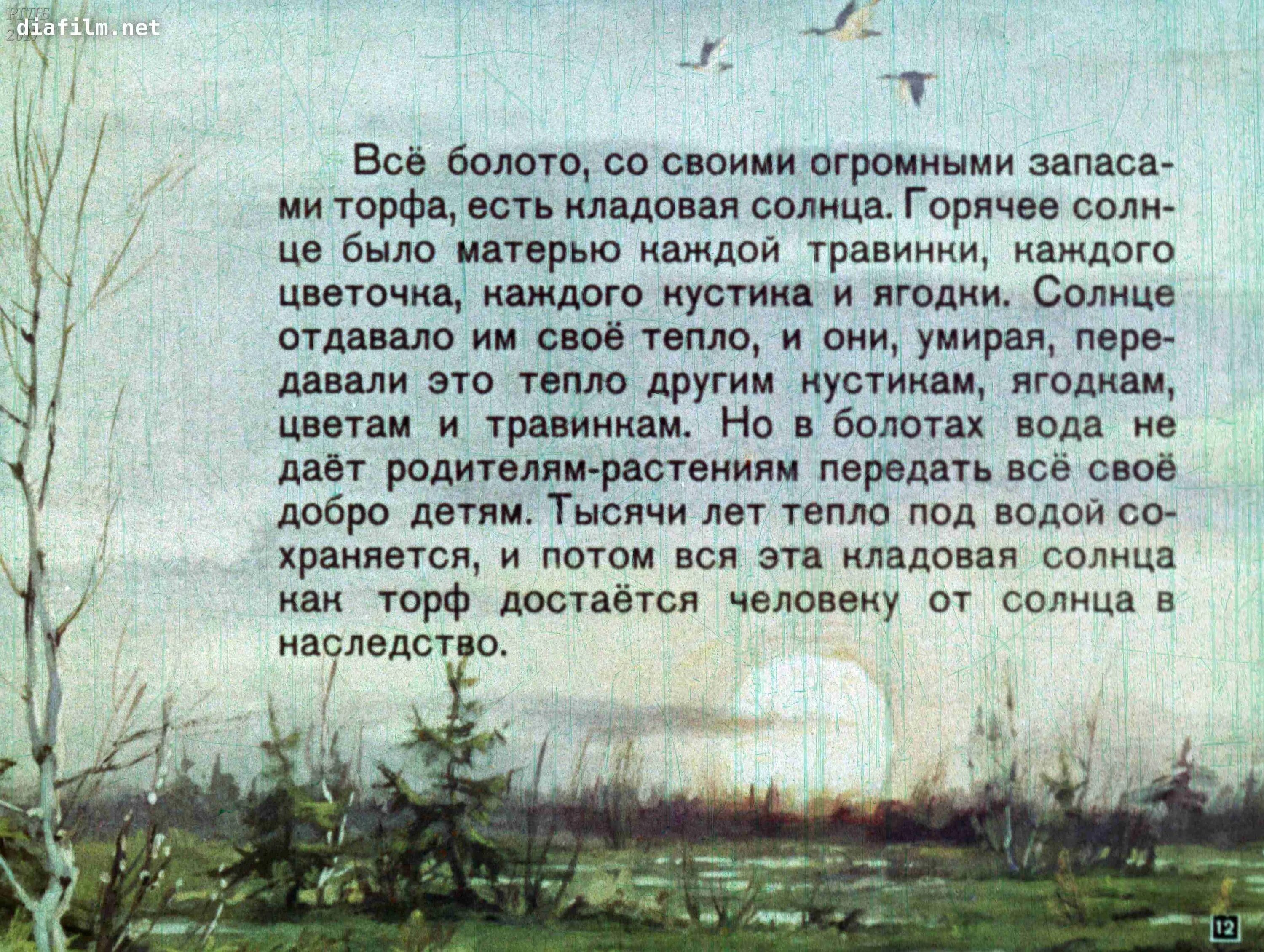 Сочинение по сказке кладовая солнца. Кладовая природы Пришвина. Пришвин Солнечная кладовая. Кладовая солнца описание природы.