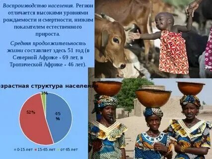 Население африки. Воспроизводство населения африки. Африка воспроизводство населения. Африка воспроизводство населения. Типы воспроизводства населения карта.