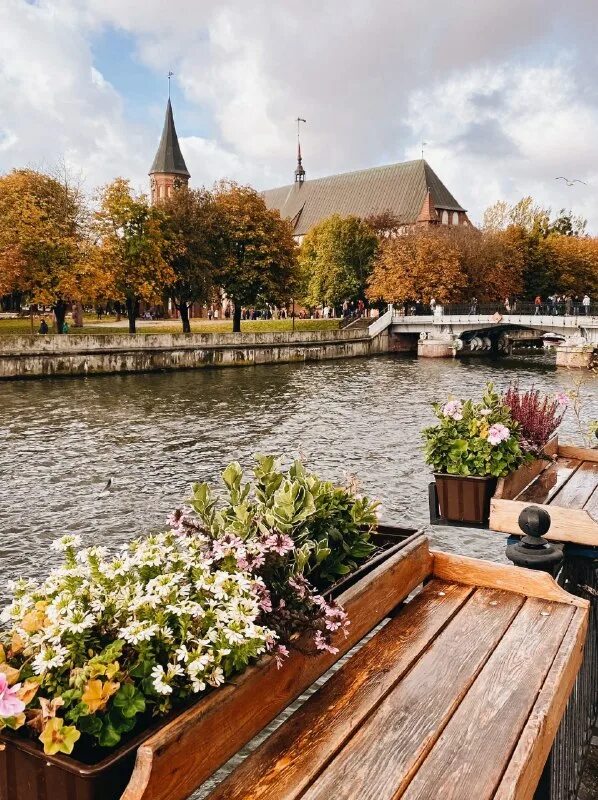 тур самара калининград с перелетом из самары. стоимость путевки. тур москва сочи. расписание самолетов москва калининград. перелет отель.