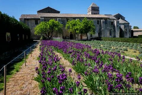 De provence