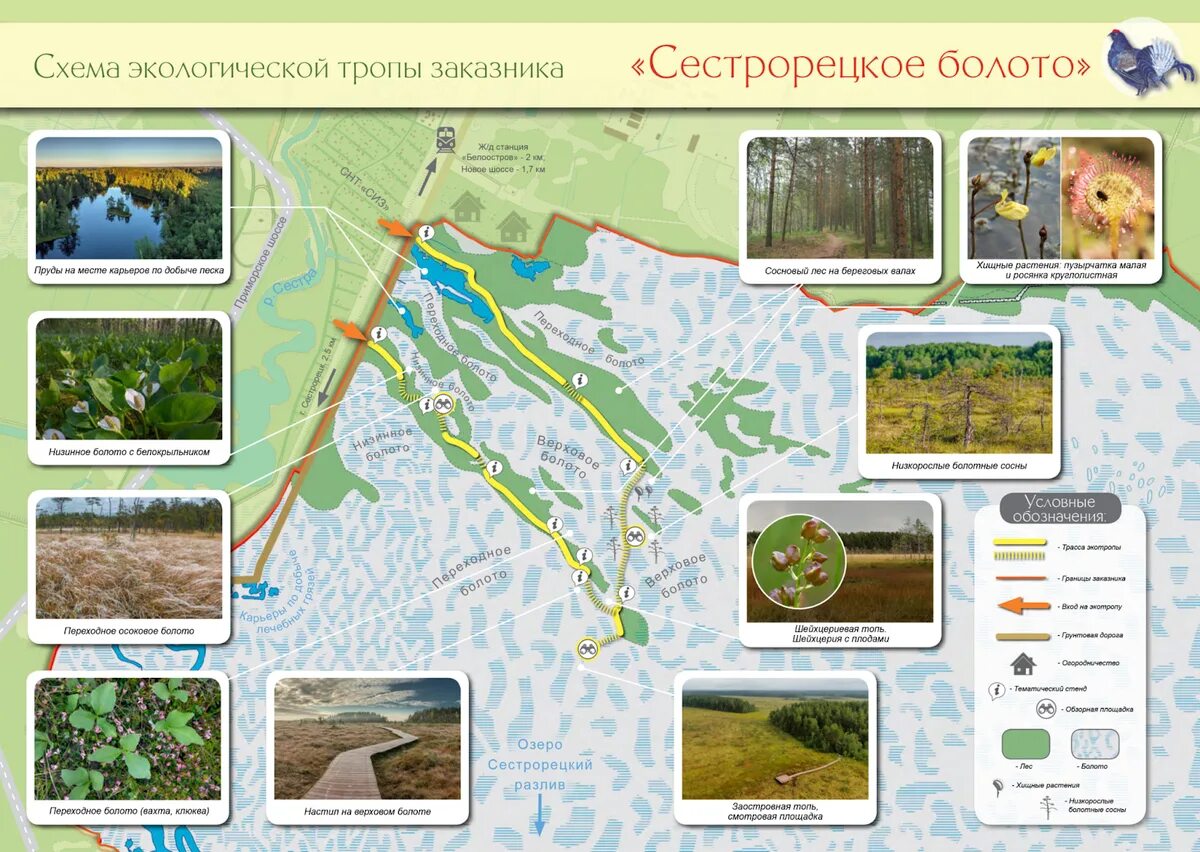 Карта с тропами. Экотропа Сестрорецкое болото на карте. Эко тропа болото Сестрорецк. Сестрорецк тропа экологическая. Сестрорецкий болота экотропа.