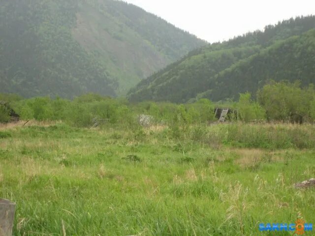 Падь сахалин. Широкая падь сахалинская область поселок. Сахалин широкая падь. Падь сахалин. Посёлок третья падь сахалинская область.