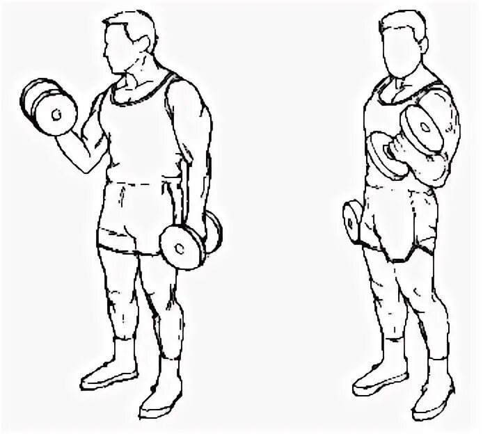 Супинация на бицепс с гантелями. Бицепс гантелями стоя попеременно. Подъем гантелей на бицепс с разворотом. Подъем гантелей на бицепс с супинацией поочередно. Подъем гантелей на бицепс с супинацией стоя.