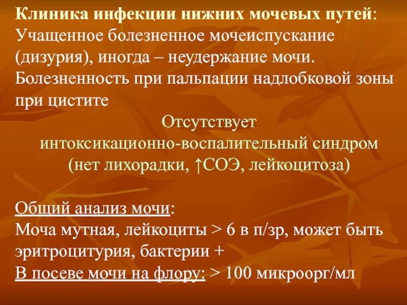 Частое мочеиспускание анализы. Инфекционные заболевания мочевыводящих путей. Инфекции нижних мочевыводящих путей. Клиника инфекции мочевых путей. Инфекция мочевыводящих путей клиника.