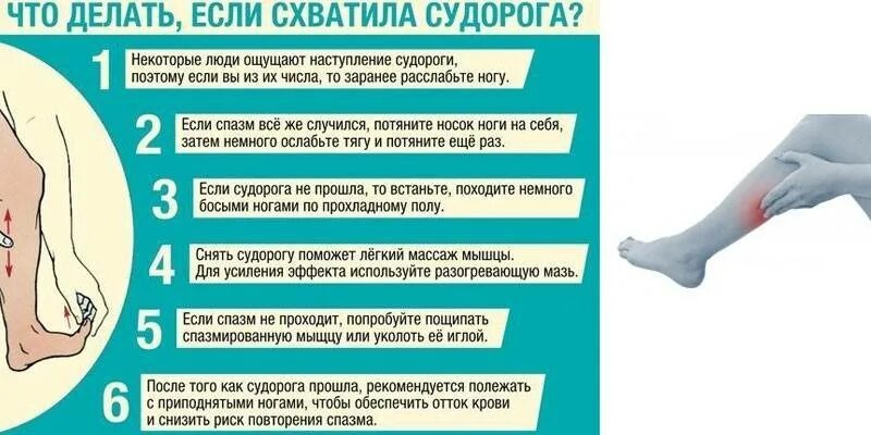 Судороги при беременности 2 триместр. Судороги при беременности 2 триместр