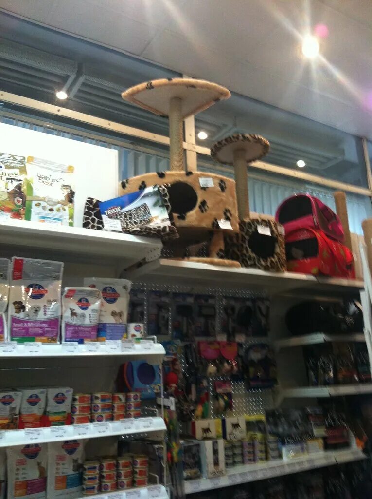 зооландия петрозаводск