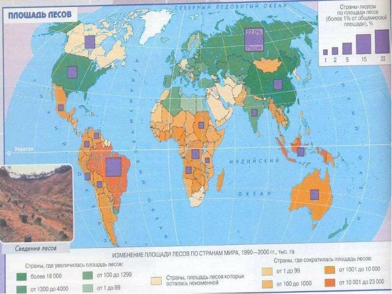 Страны без лесов. Страны Лидеры по площади лесов. Карта изменения площади лесов. Карта площади лесов стран.