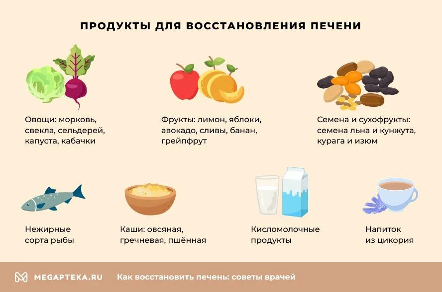 Продукты для печени восстановления. Продукты для регенерации печени. Какие продукты восстанавливают печень. Овощи для восстановления печени.