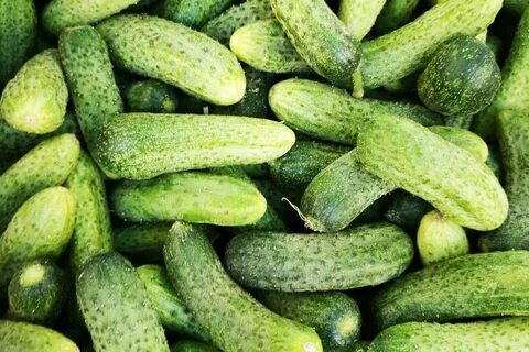 Сорта вкусных огурцов