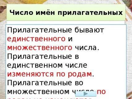 Прилагательные множественного числа изменяются по родам