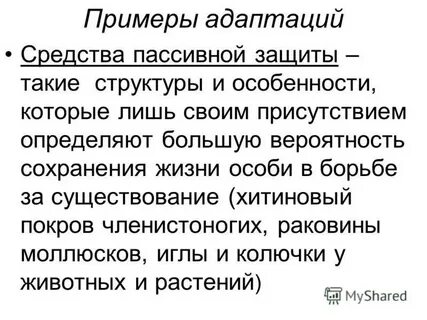 Жизнь особи