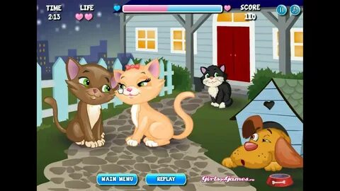 Игры кошки любовь