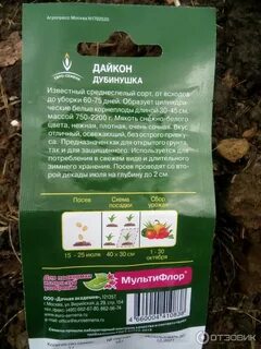 Семена дачный