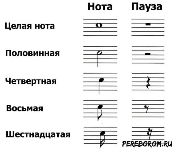 Таблица длительностей и пауз. Нотная грамота Длительность нот. Основные длительности нот и пауз. Ноты паузы длительности нот.