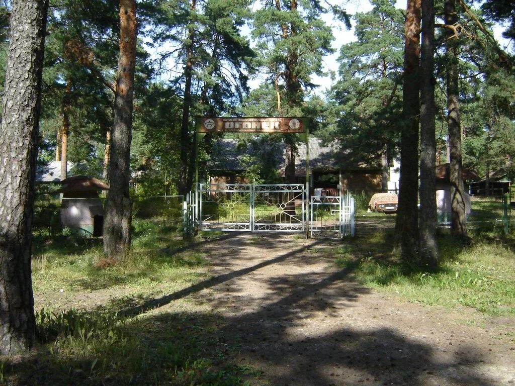 Изумрудный берег владивосток. Пионерлагерь луч заброшенная большая ижора. Изумрудный берег большая ижора. Лагерь огонёк большая ижора. Поселок изумрудный воронеж.