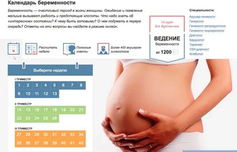 Первый триместр беременности до какой недели