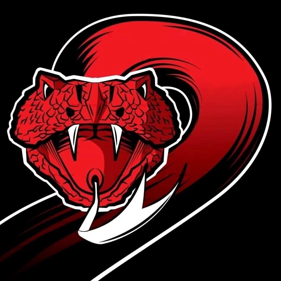 Логотип змеи. Крутые эмблемы для клана. Авы для клана. Крутая змея. Аватарка змей
