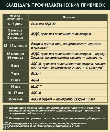 Во сколько делают прививку от кори детям. Профилактические прививки взрослым. График вакцинации взрослых. График вакцинации прививка кори. Прививки взрослым по возрасту таблица.