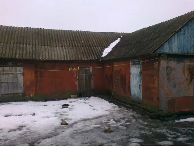 Село ростоши. Ростоши воронежская область. Дачный поселок кокошкино. Дачный поселок кокошкино. Прогноз ростошах.