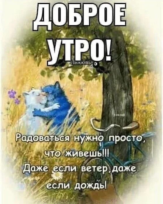 Пин от пользователя Леди Ди на доске доброе утро)) Лучшие цитаты, Вдохновляющие 