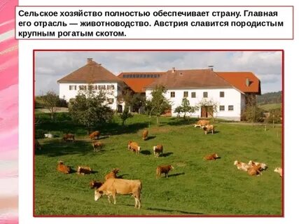 Отрасли сельского хозяйства швейцарии