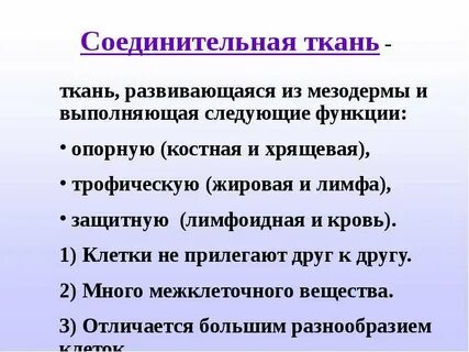 Соединительные ткани развиваются из