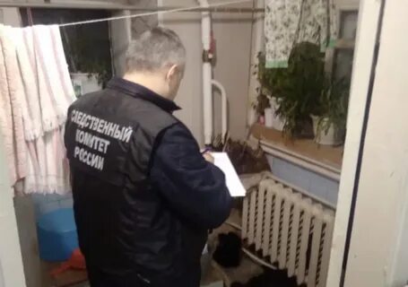 Семья отравилась сегодня