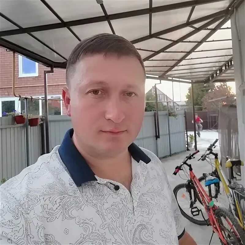 Хомяк породы джунгарик. Хома краснодар. Хома фото т. Хома фото. Сирийский золотистый хомячок.