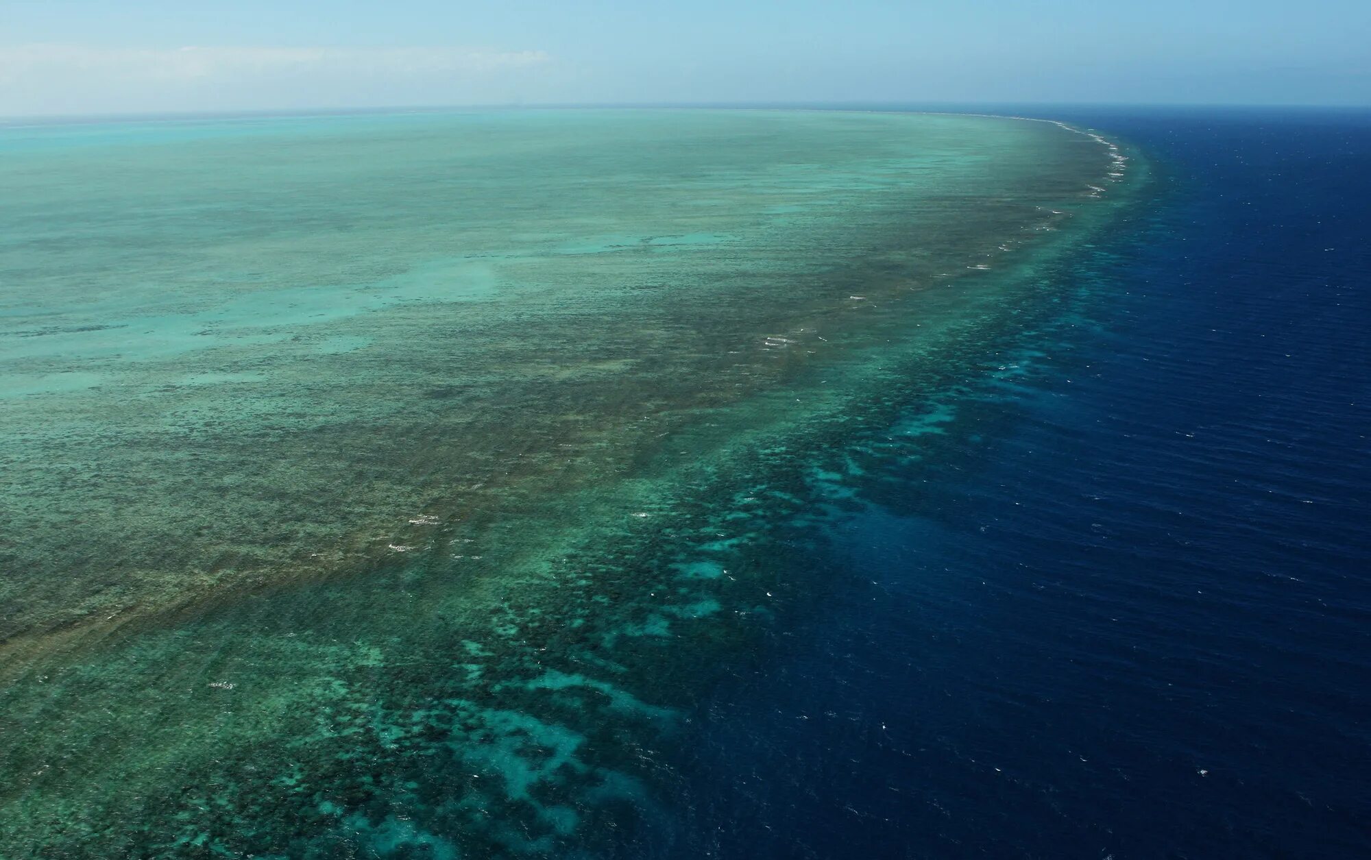 Самые большие моря мирового океана