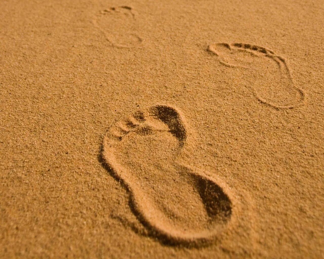 След в истории. Следы на песке. Детский след на песке. Отпечаток на песке. Следы двоих на песке.