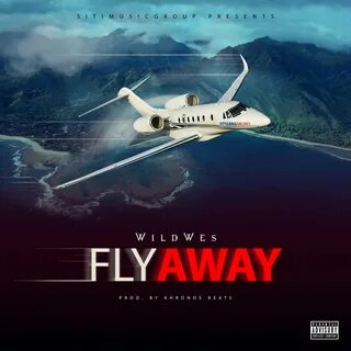 Fly flying away