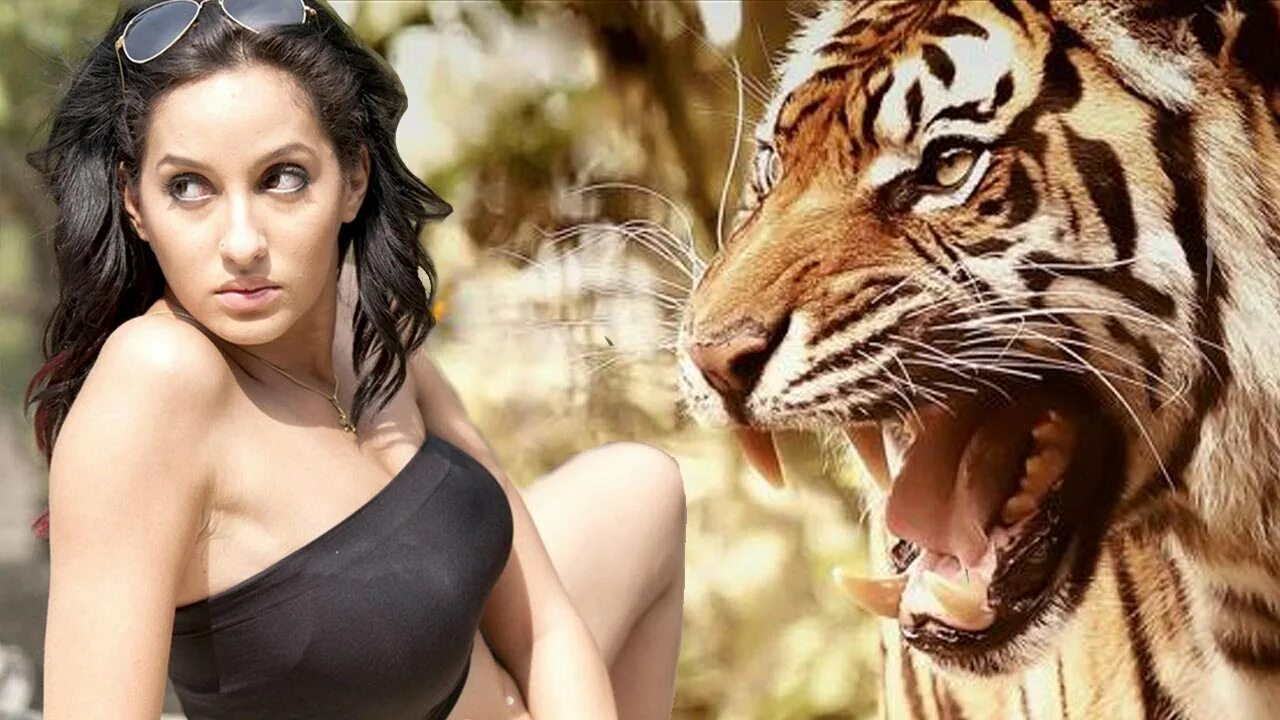 Ли тайгер. Roar Tigers of the Sundarbans 2014. Знаменитости тигры.