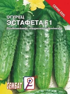 Огурец сорт эстафета