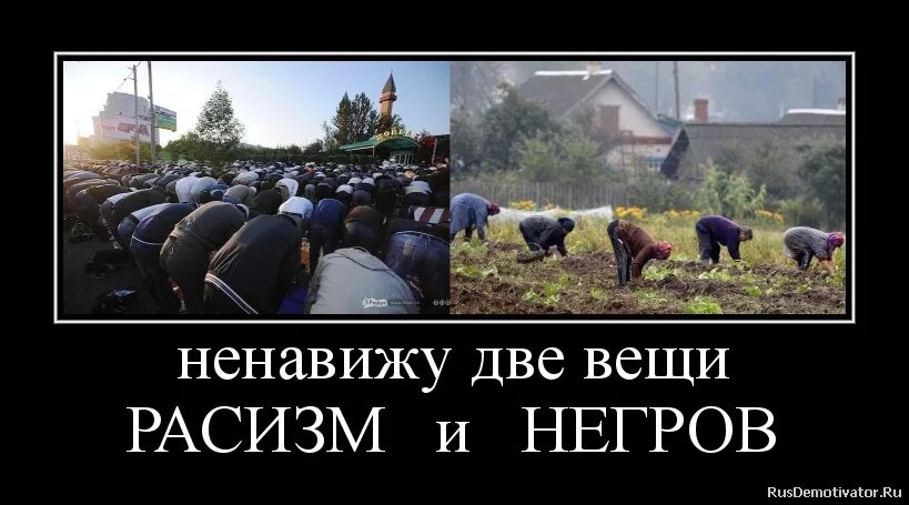 Ненавижу белых. Ненавижу негров. ненавижу расизм и негров. не люблю расизм и негров. ненавижу две вещи расизм и негров.