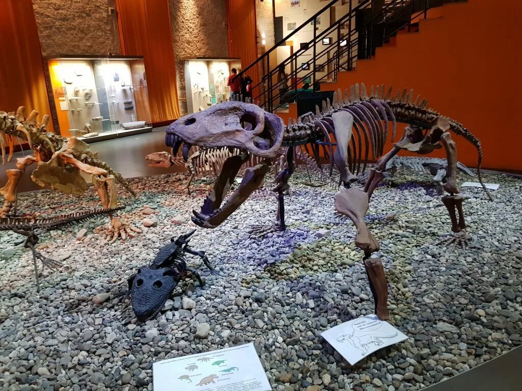 Сибирская 15 пермь музей пермских древностей. Пермь достопримечательности музей пермских древностей. Музей пермских древностей (пермь, ул. Пермь достопримечательности музей пермских древностей. Музей динозавров в перми.