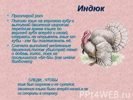 Умен как индюк