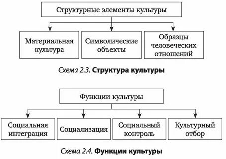 Общие элементы культуры это