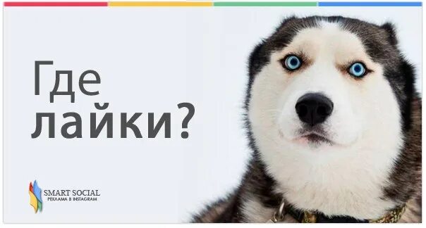 Не вижу лайков