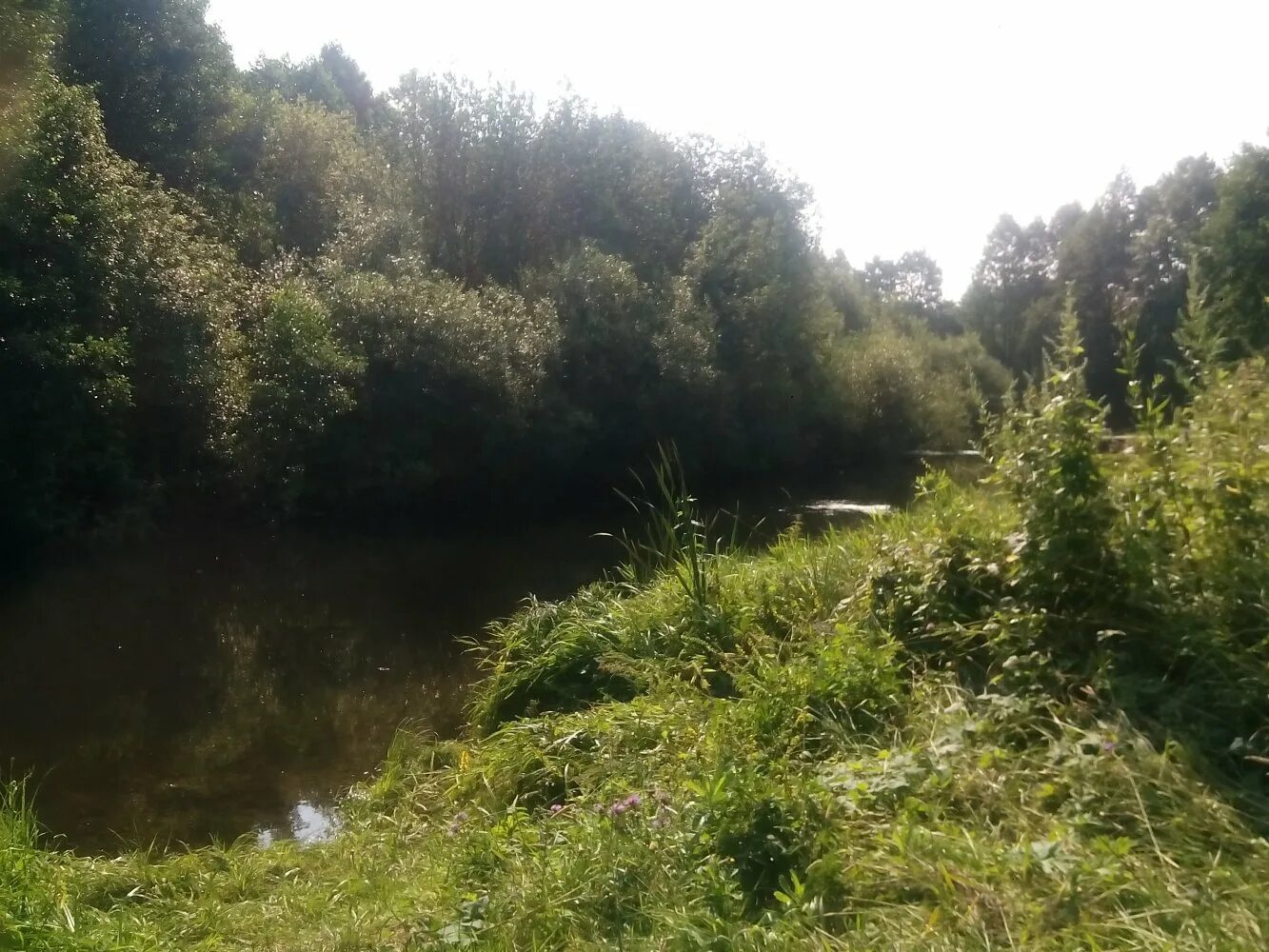 Усадьба дедово талызино реконструкция. Польцо (нижегородская область). Красное польцо сверху. Город муром частный дом 71 зеленый. Талызино муромский.