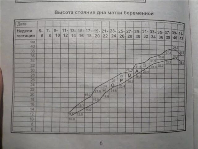 Матка на 21 неделе беременности