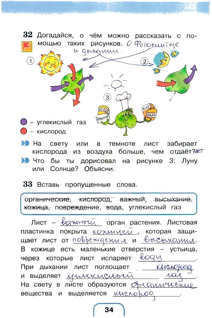 Окружающий мир 3 класс рабочая тетрадь Поглазова Шилин 2 часть стр. Окружающий мир 3 класс рабочая тетрадь 2 часть Поглазова. Гдз по окружающему миру 3 класс рабочая тетрадь страница 34. Окружающий мир 3 класс рабочая тетрадь 2 часть стр 34 номер 1 и 2. Окружающий мир 3 стр 34 38