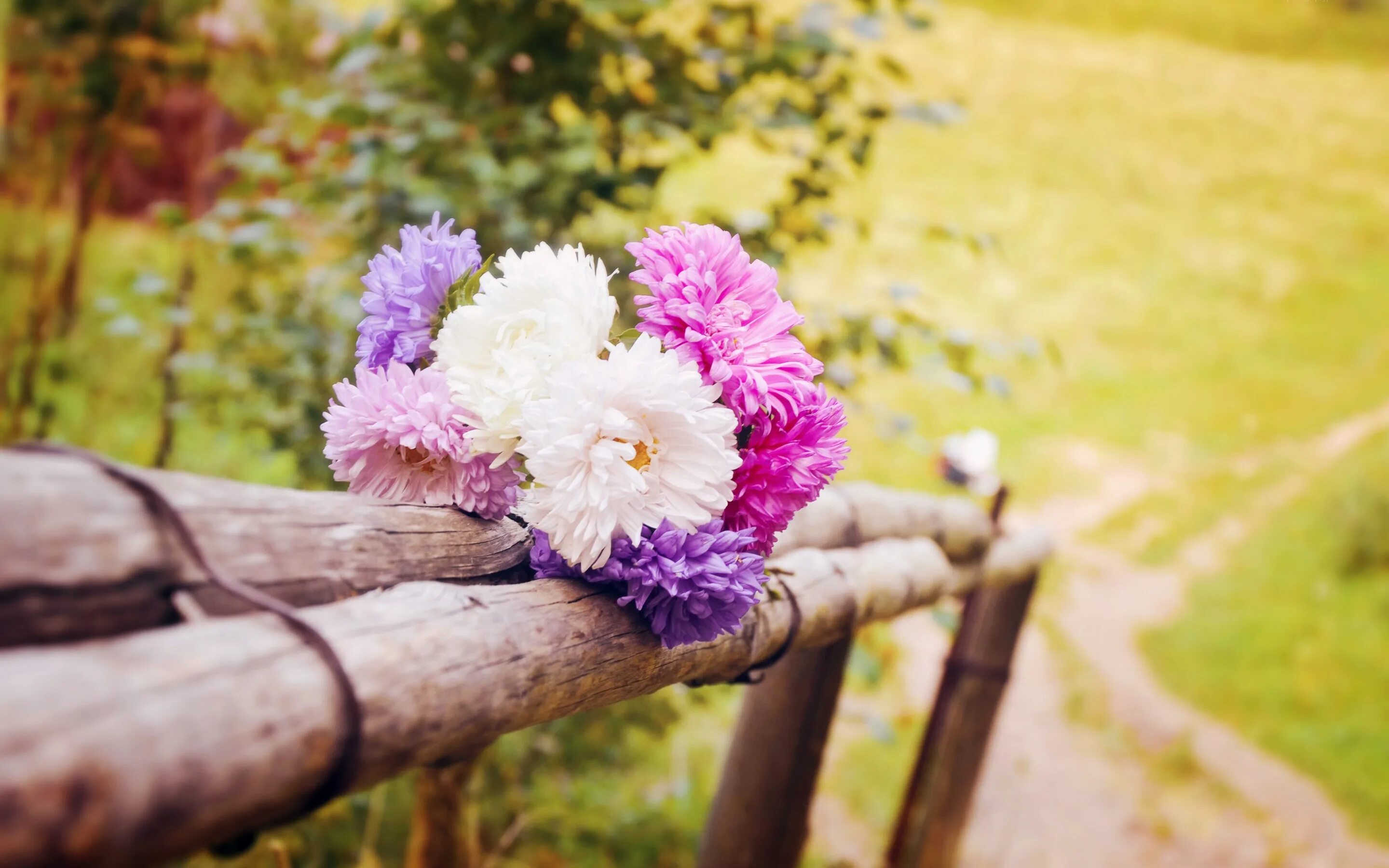 My flowers are beautiful. Цветы на скамейке. Природа цветы. Летние цветы. Красивый летний букет.