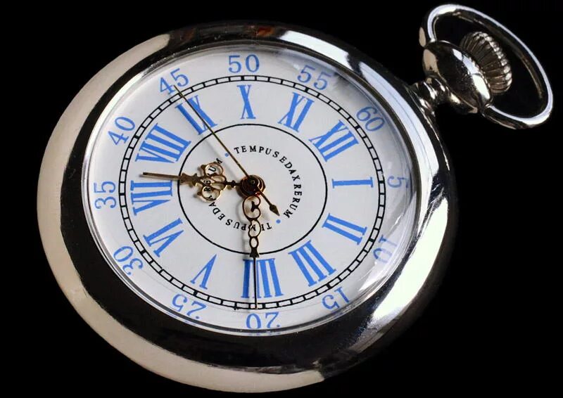 Tempus loquendi tempus tacendi. Часы tempus edax rerum. карманные часы tempus edax. темпус эдакс рерум. tempus vulnera sanat.