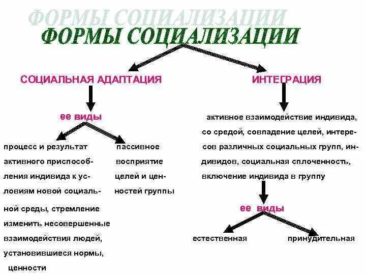 Взаимодействие в адаптации. Виды социальной адаптации. социальная адаптация схема. адаптация и интеграция различия. социализация и социальная адаптация.