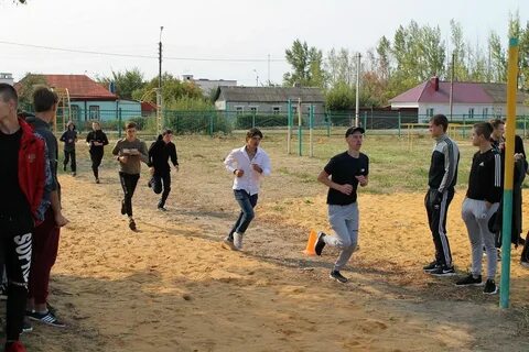 Заринский политехнический техникум сайт