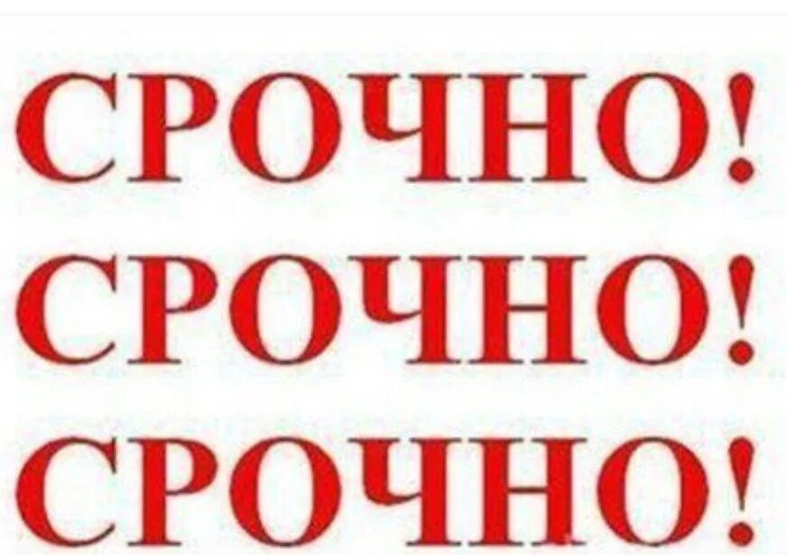 Нужна срочная помощь. Нужна помощь собаке. Срочно срочно срочно. Срочно. Срочно нужна помощь.